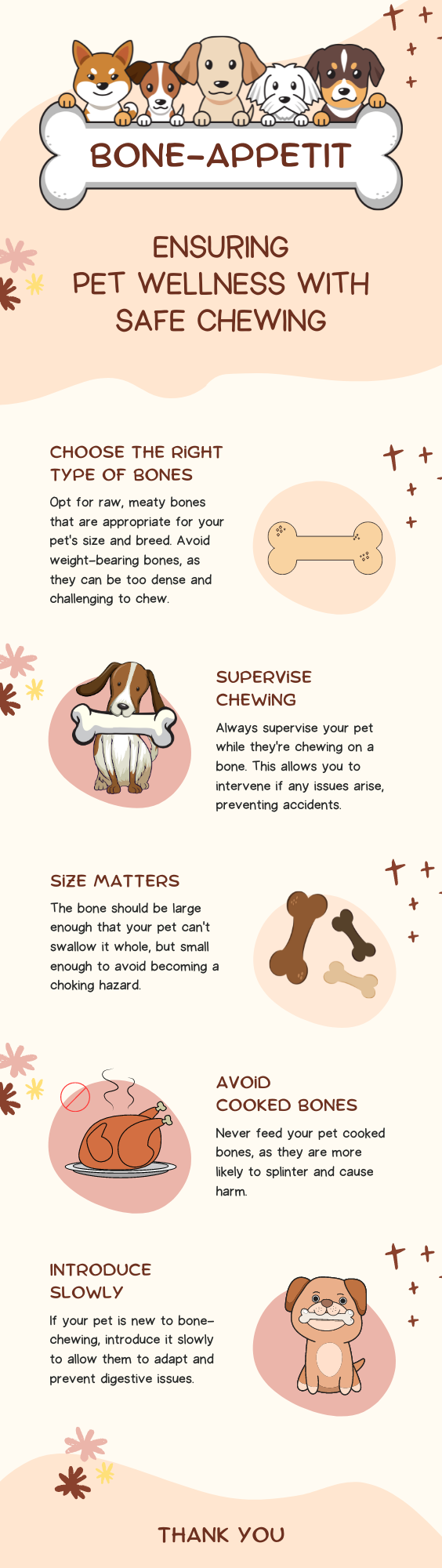 Bone-Appetit Ensuring Pet Wellness With Safe Chewing