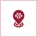 Icon 10 Icon 10