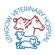 Lithgow Veterinary Hospital