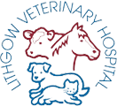 Lithgow Veterinary Hospital Lithgow Veterinary Hospital