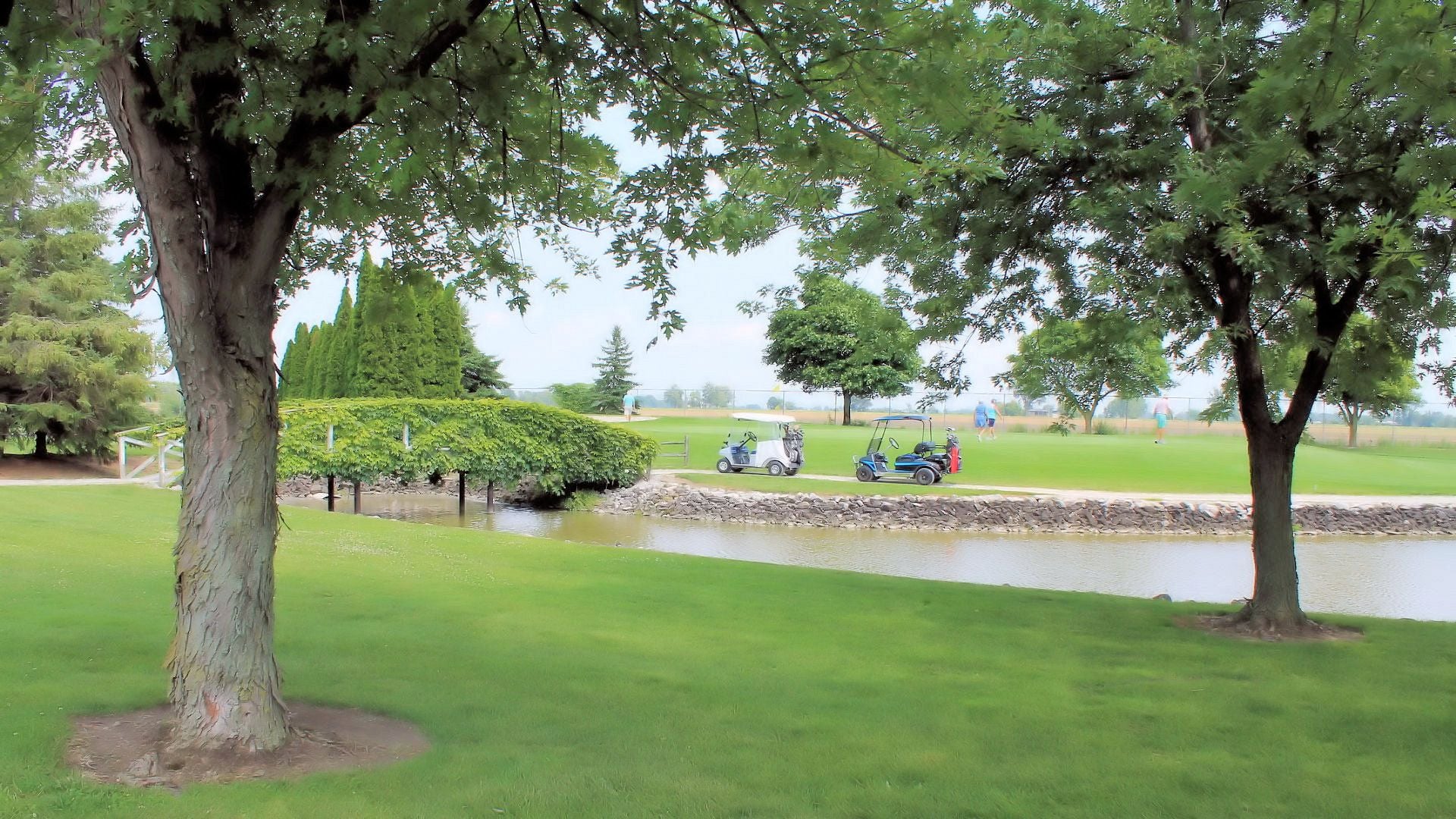 Wildwood Golf Course Image -64ff6a1fd06fb