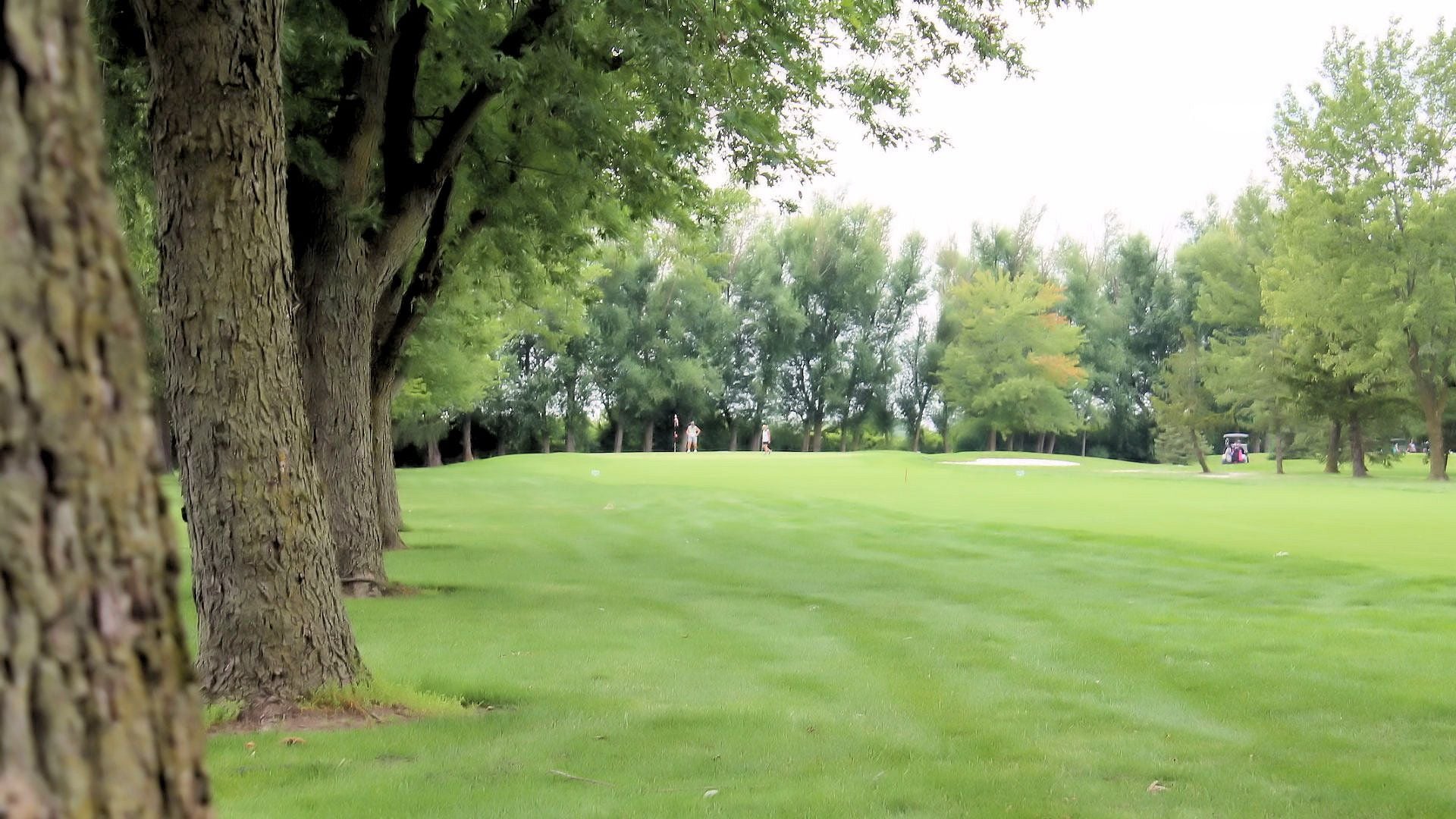 Wildwood Golf Course Image -64ff6a2034484