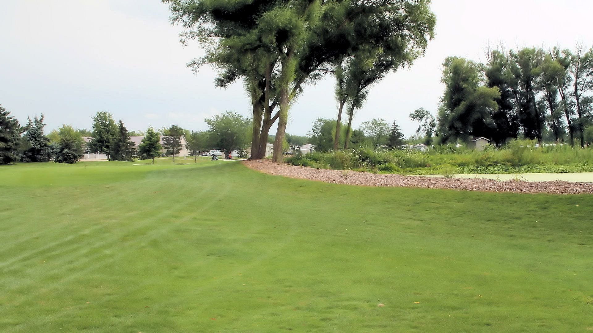 Wildwood Golf Course Image -64ff6a20e5c9a