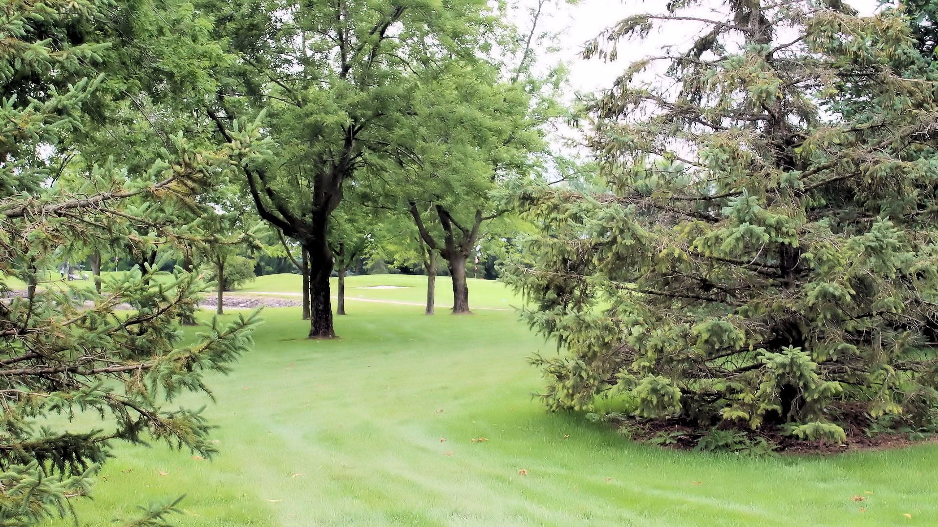 Wildwood Golf Course Image -64ff6a210861b