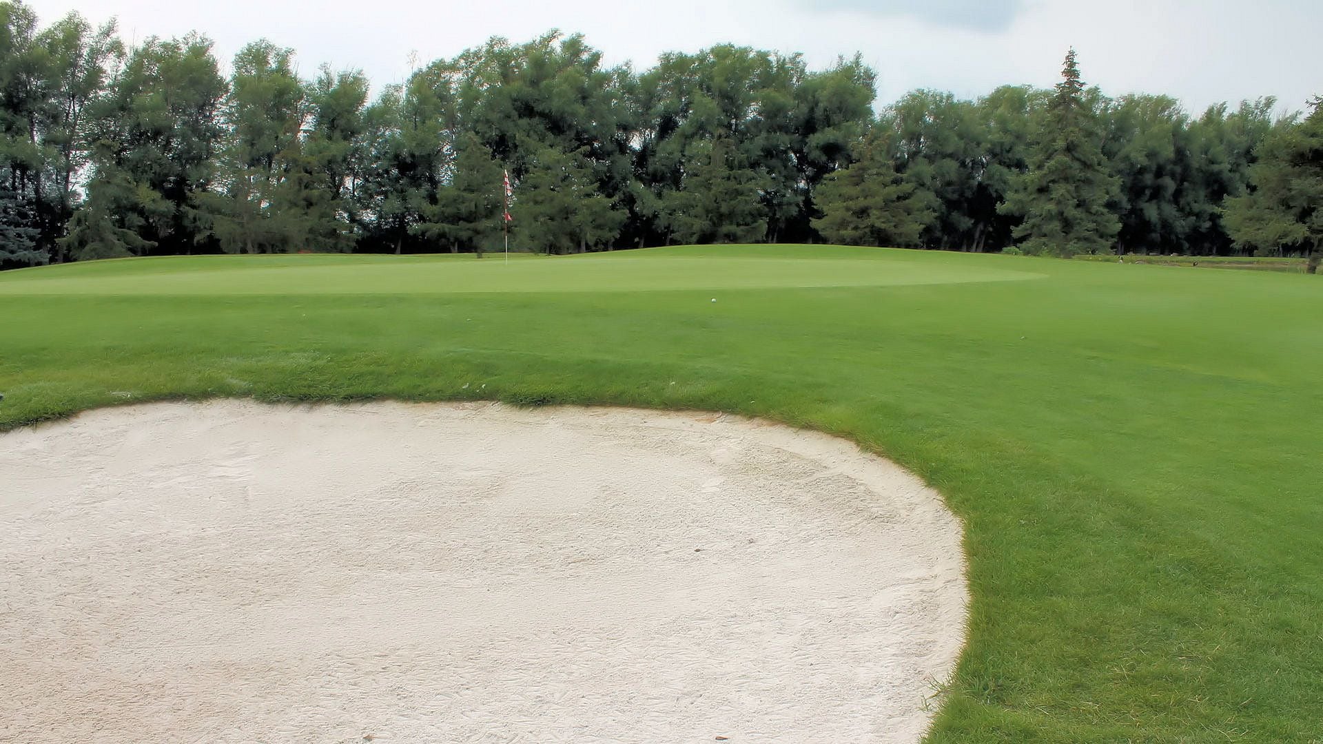 Wildwood Golf Course Image -64ff6a2122134