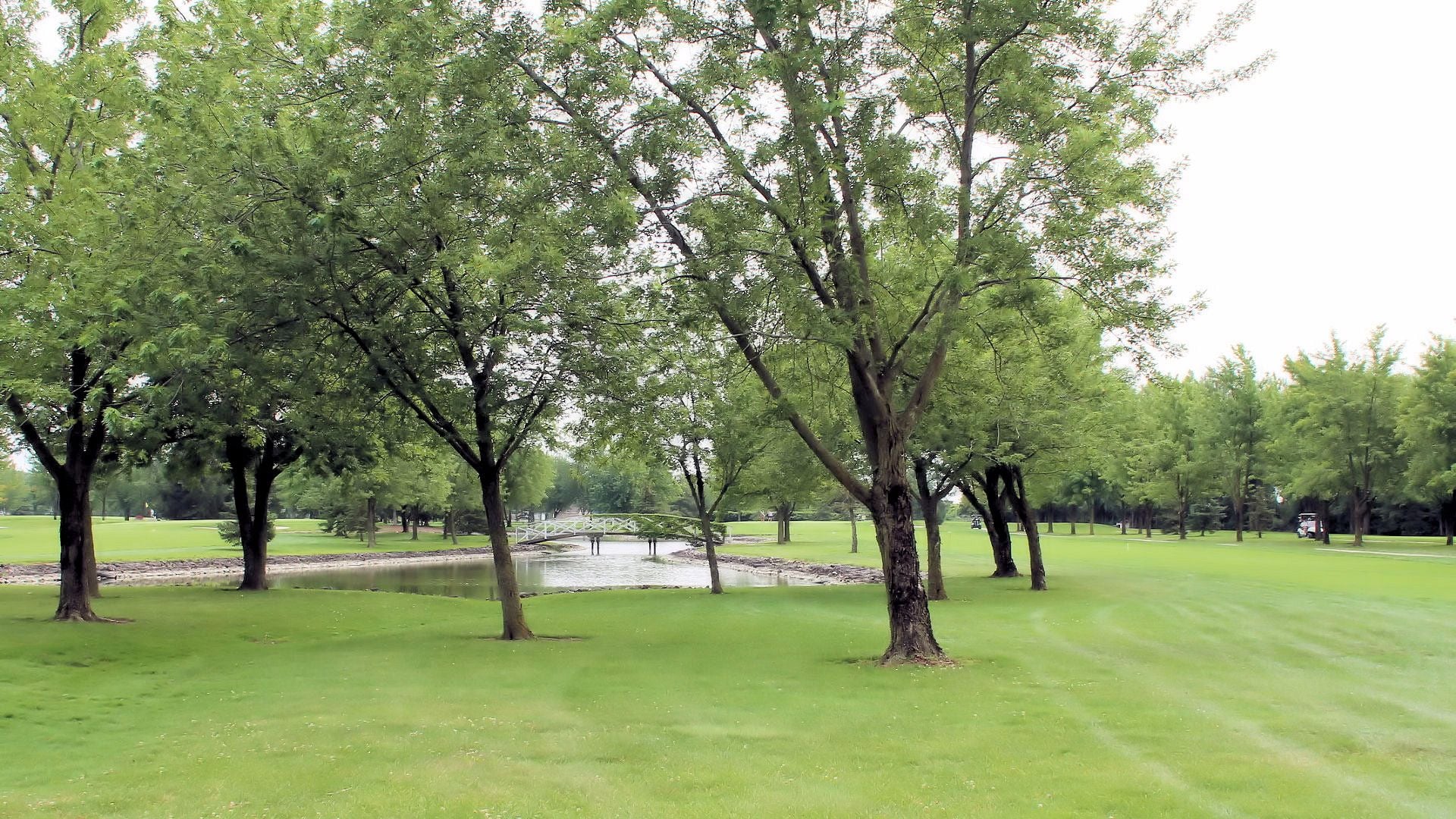 Wildwood Golf Course Image -64ff6a21621e0