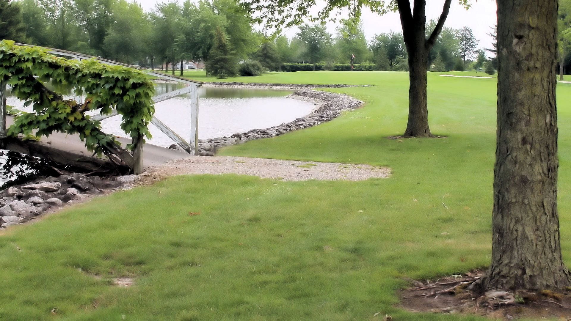 Wildwood Golf Course Image -64ff6a218fa9f