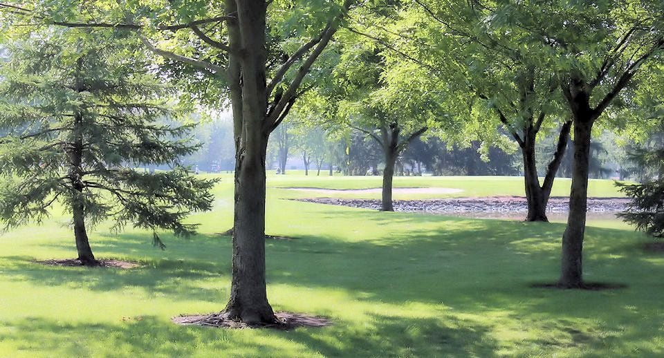 Wildwood Golf Course Image -64ff6a2512c0e