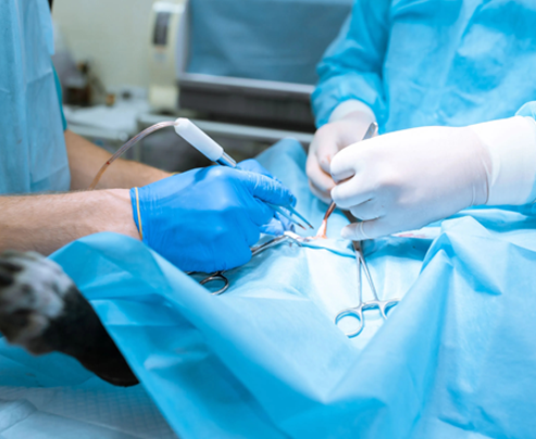 Soft Tissue Surgery