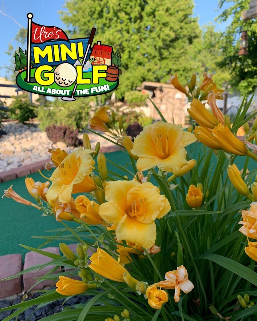 Mini Golf Images Mini Golf Images