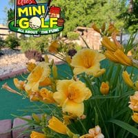 Mini Golf Images