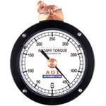 Torque Indicators
