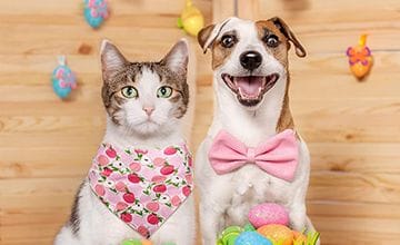 Easter Pet Safety Tips