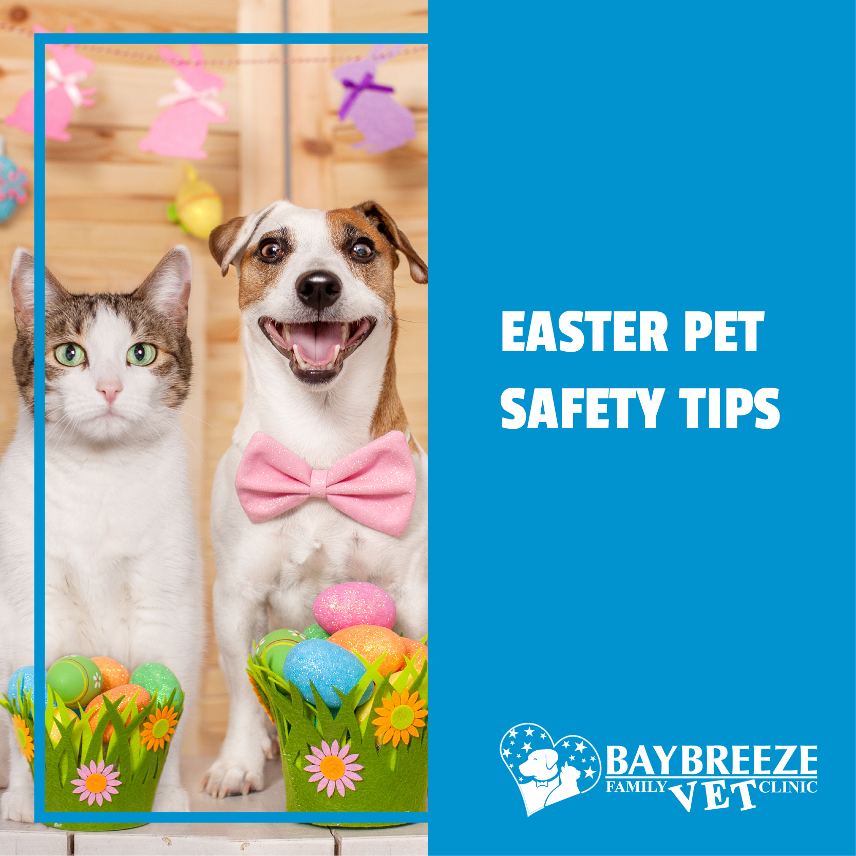 Easter Pet Safety Tips