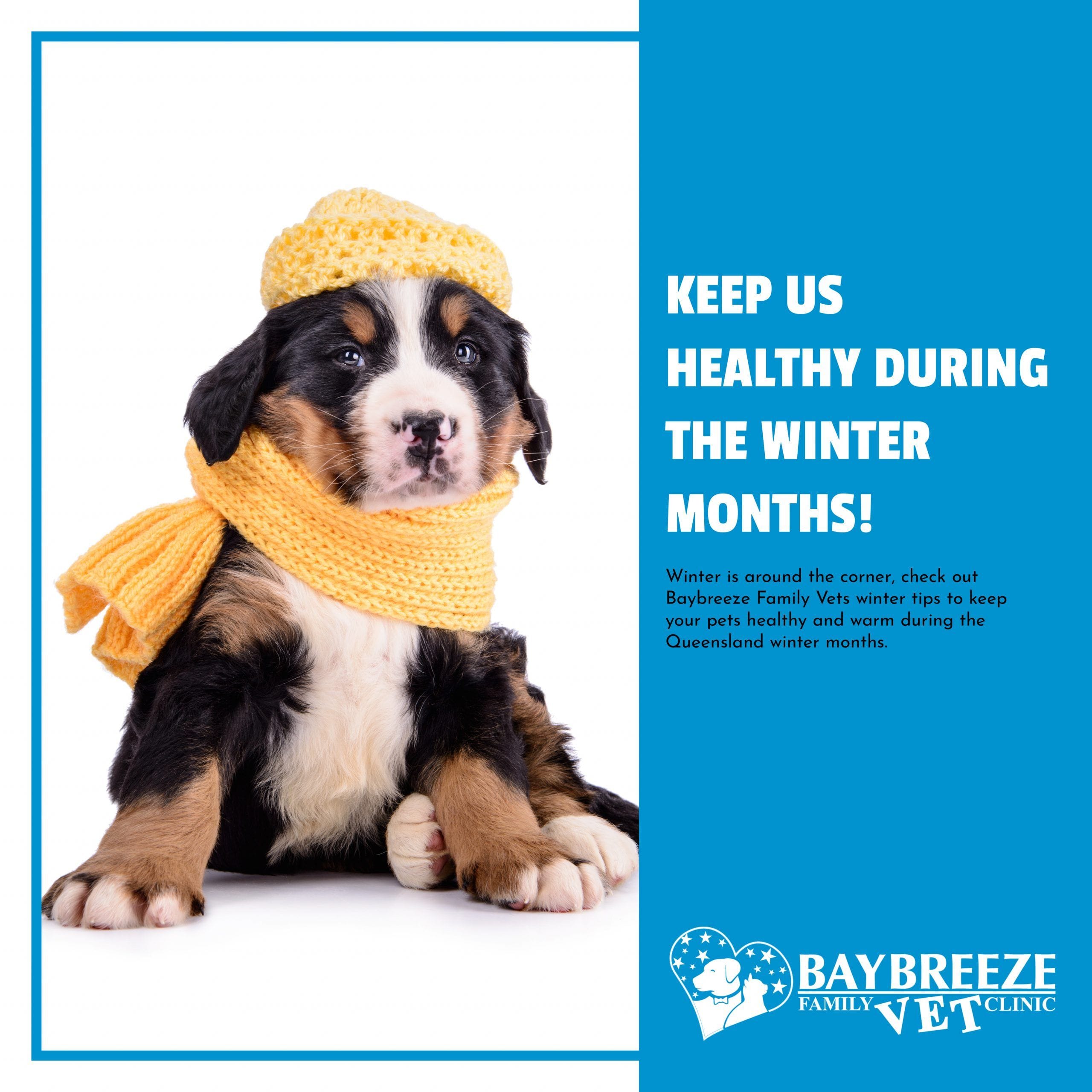 Keep us healthy during the winter months!