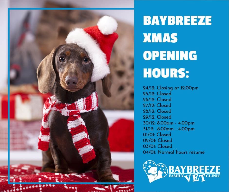 Baybreeze Xmas Opening Hours: