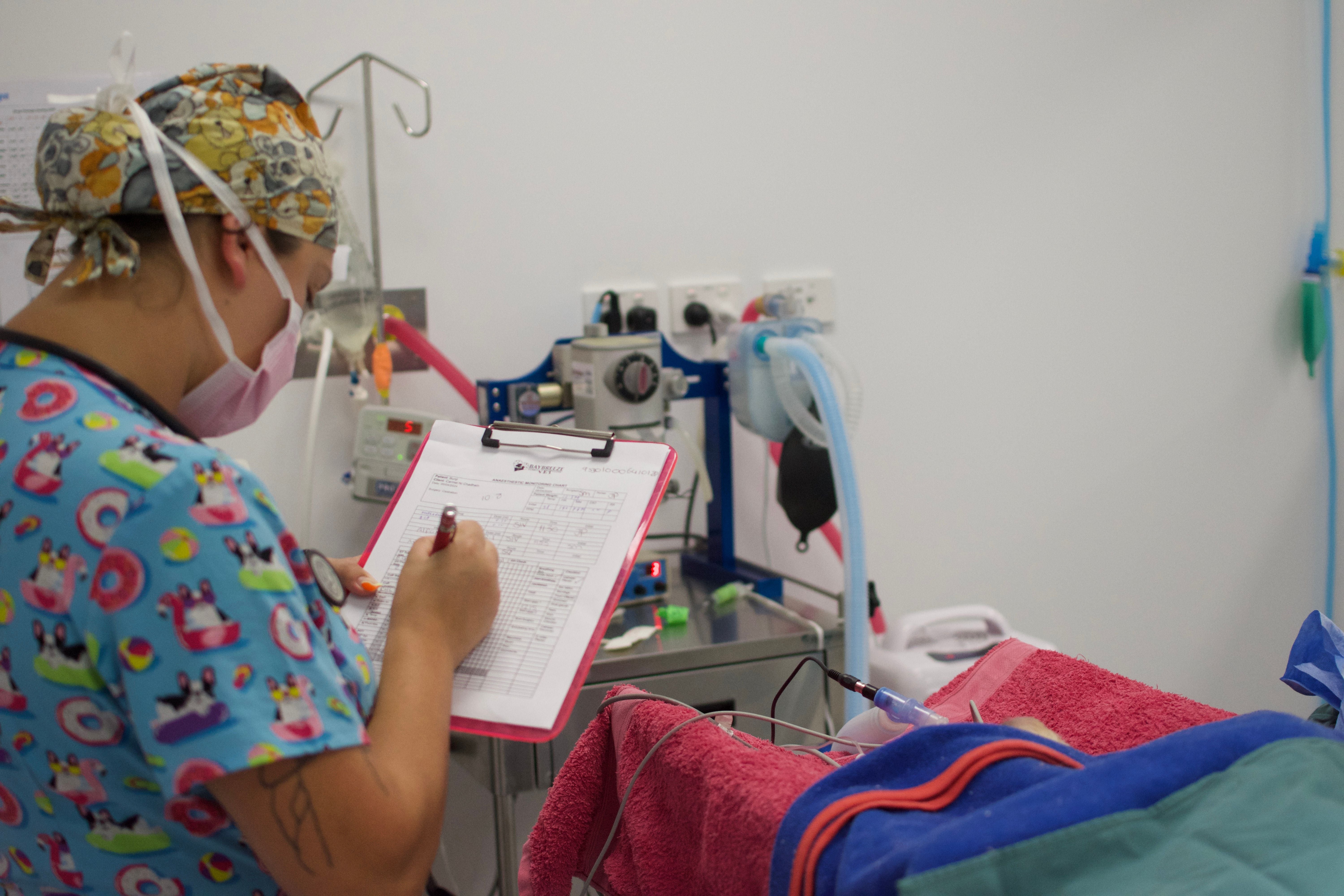Baybreeze Vet Surgery Capalaba Baybreeze Vet Surgery
