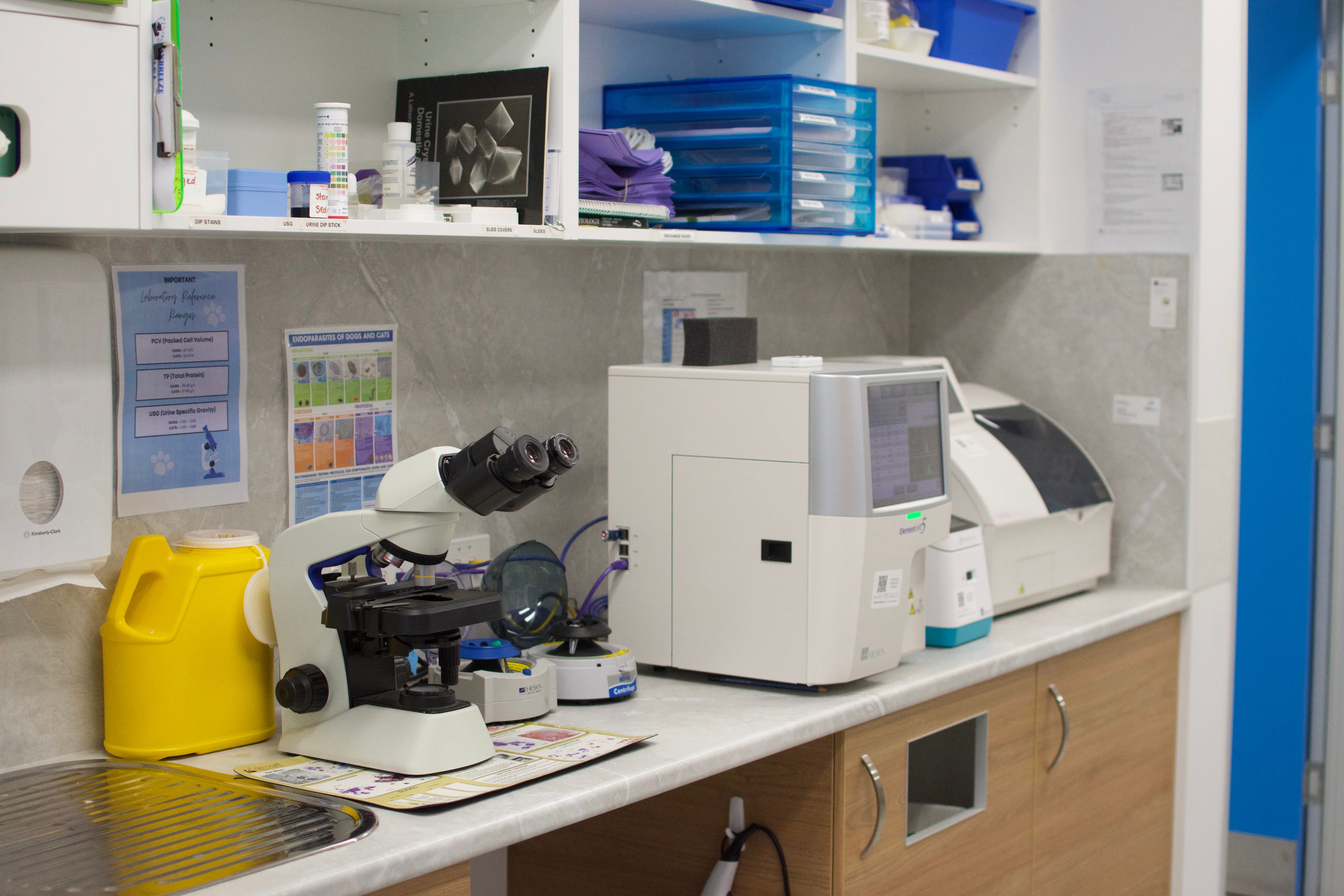 Baybreeze Vet Lab Testing Capalaba