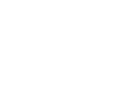 Hunter Laser Vision