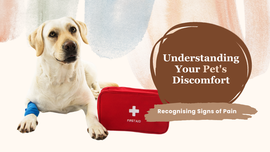 Understanding Your Pet's Discomfort: Recognising Signs of Pain