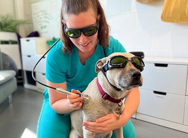 Laser Therapy