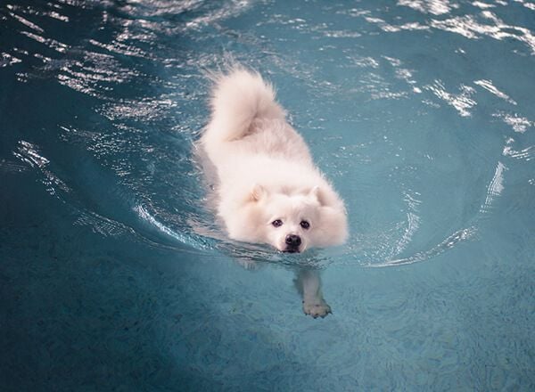 Massage Therapy and Hydrotherapy