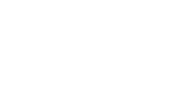 Taringa Vet Surgery