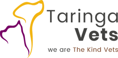 Taringa Vet Surgery