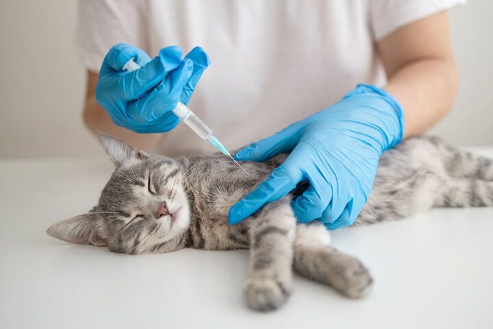 Local Anesthesia Local Anesthesia