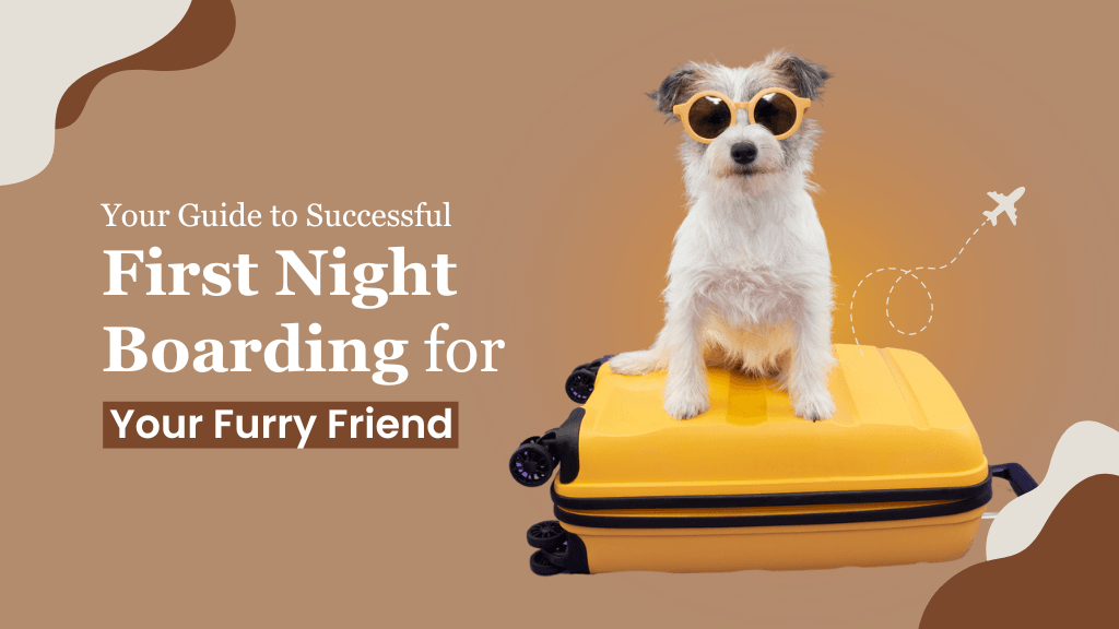 Your Guide to Successful First-Time Overnight Boarding for Your Furry Friend Your Guide to Successful First-Time Overnight Boarding for Your Furry Friend