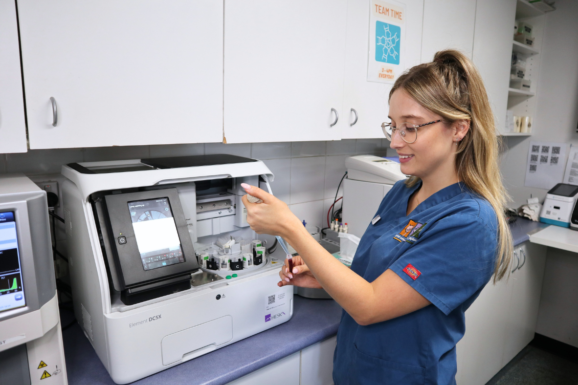 Why We Recommend Pre-Anaesthetic Blood Testing for Your Pet