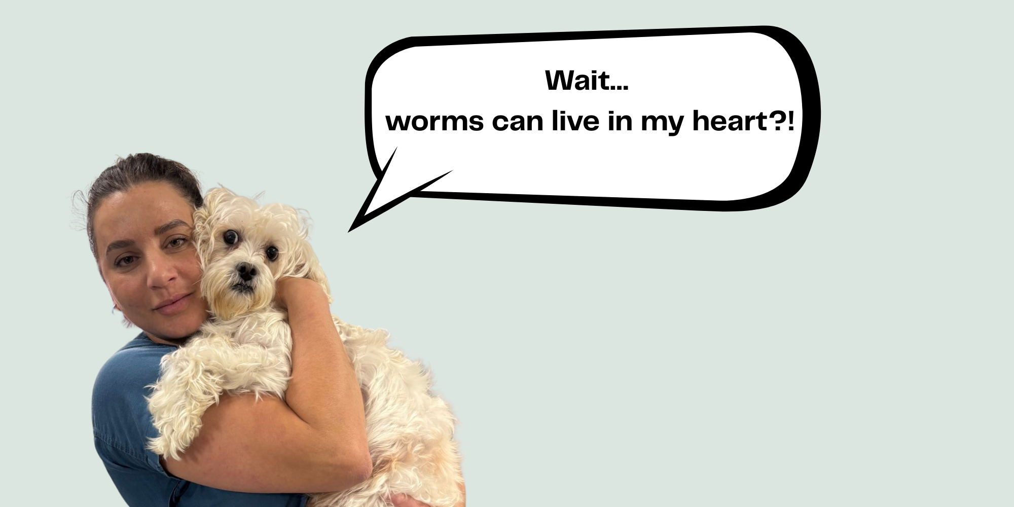 Heartworm – What Every Pet Parent Should Know