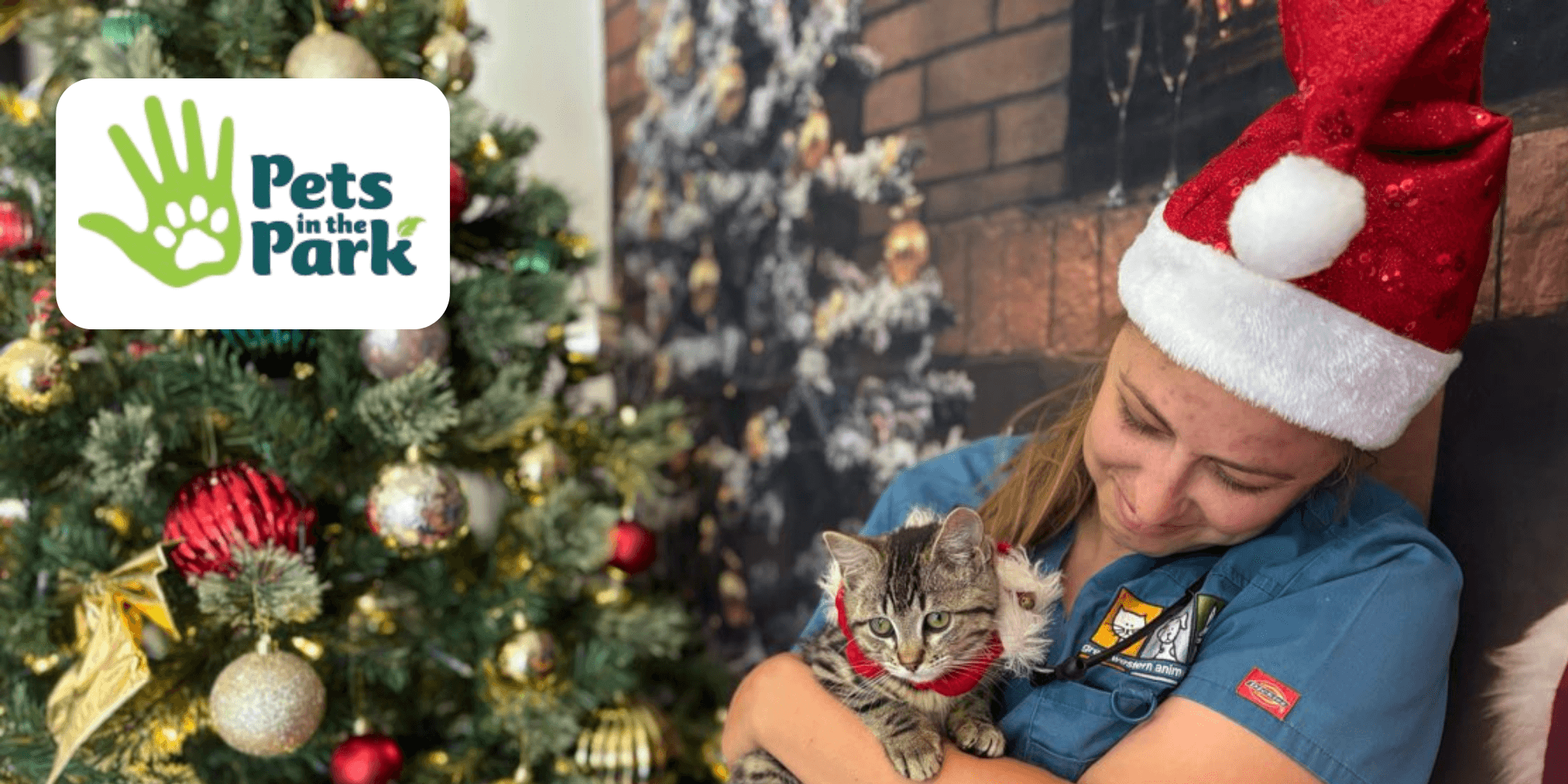 Giving Back This December: Supporting Pets in the Park