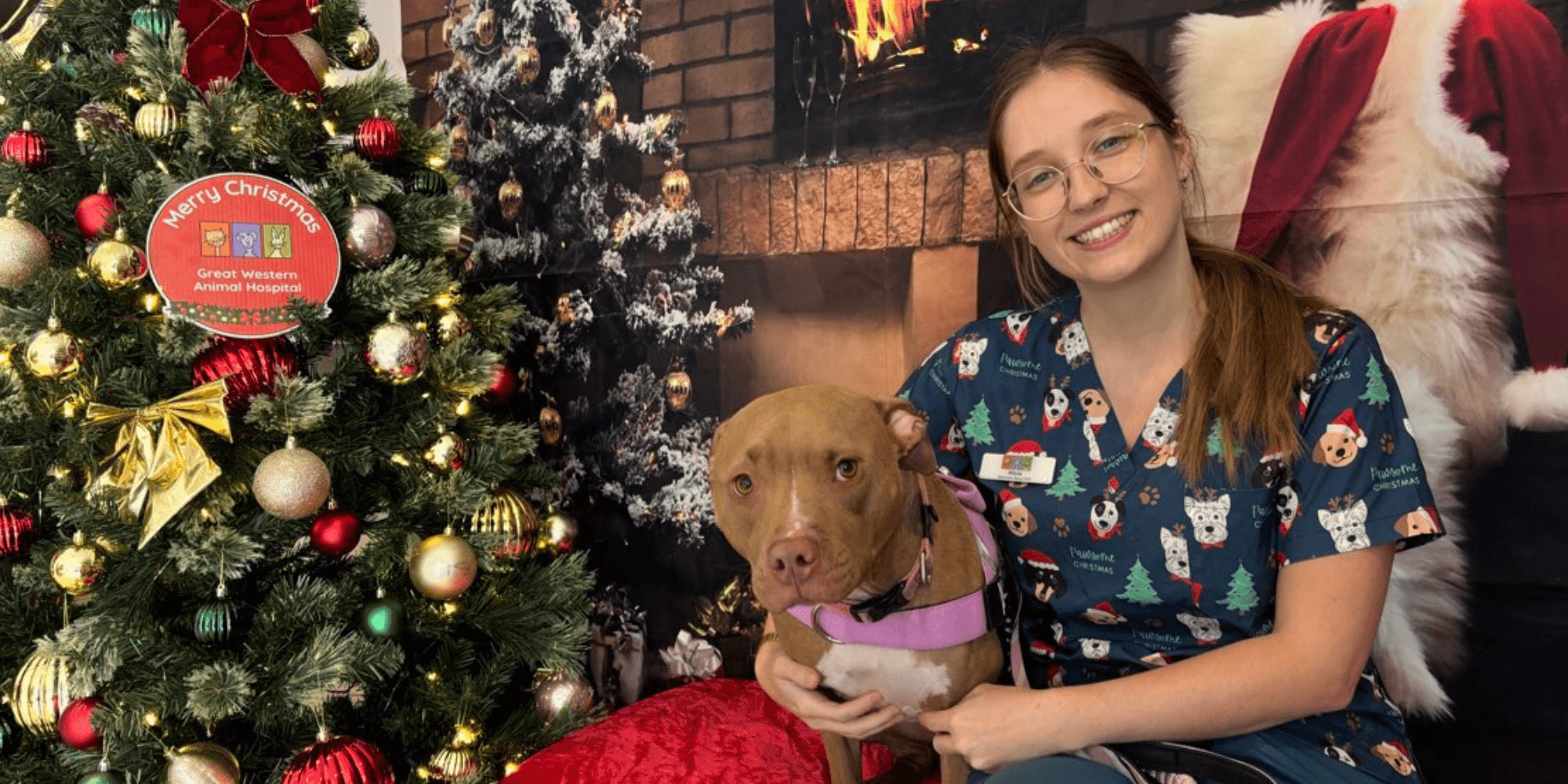 Preparing Your Pet for the Christmas Season