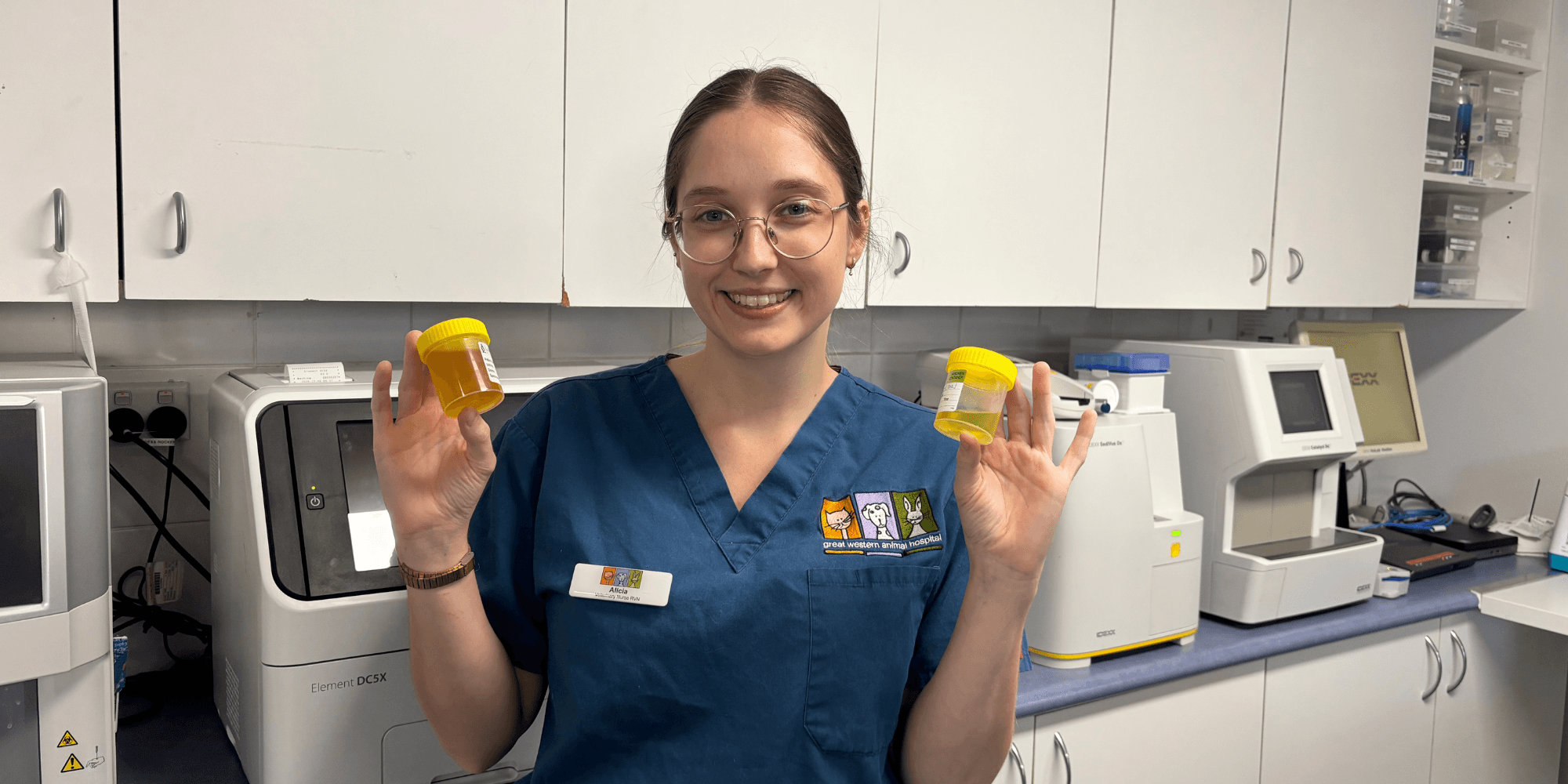 Why your vet might ask for a urine sample from your pet