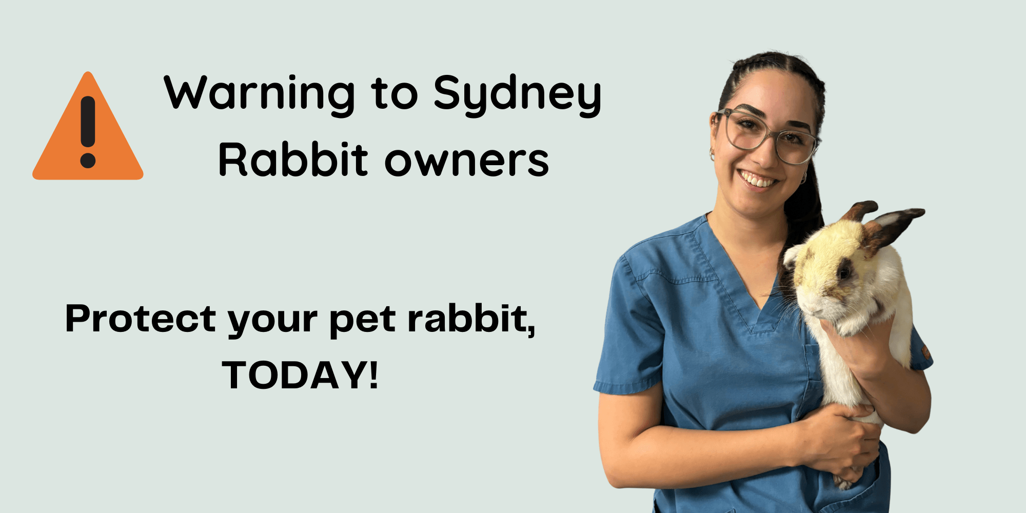 Protecting Your Pet Rabbit from Rabbit Haemorrhagic Disease