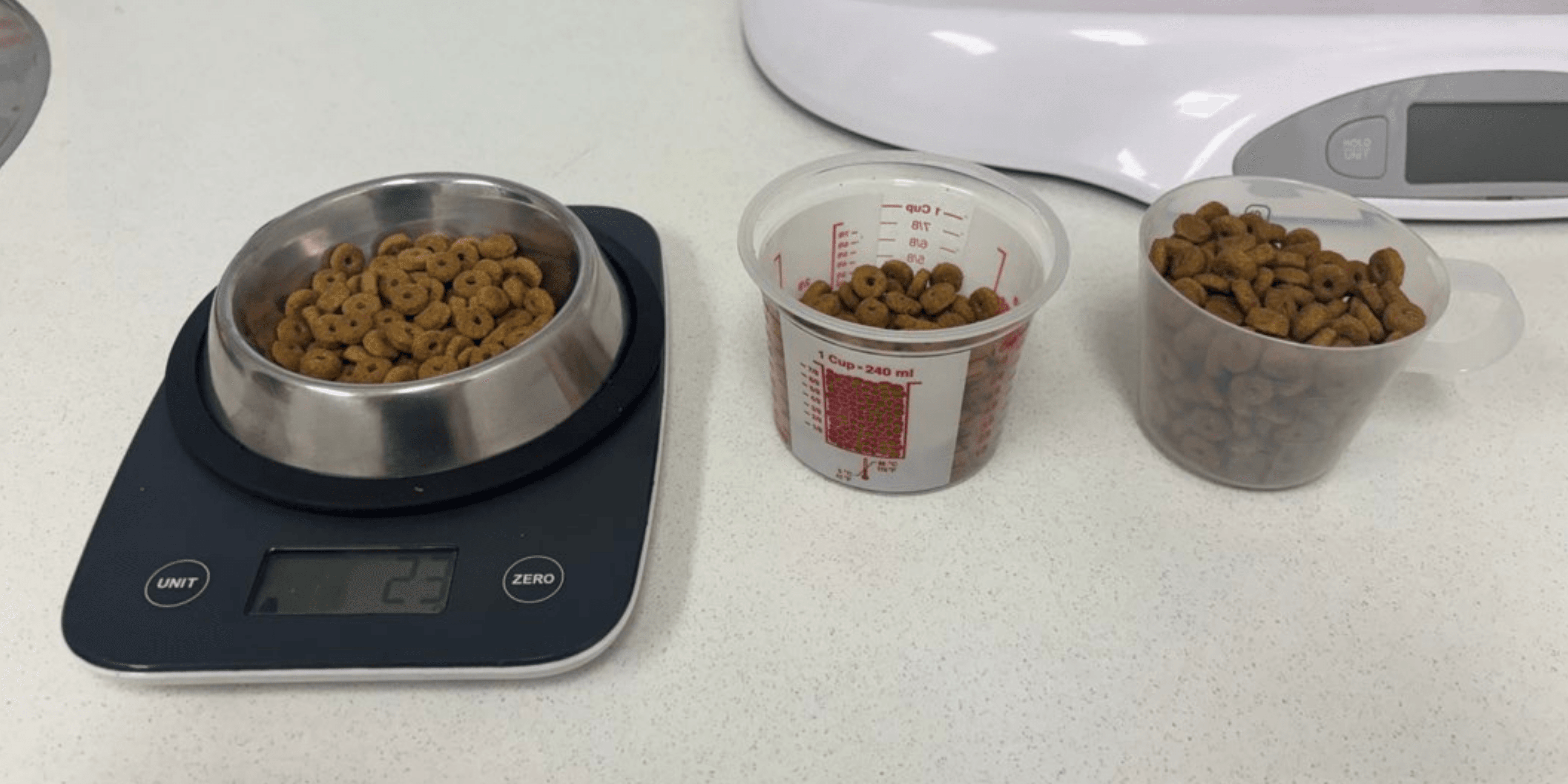 How Much Should My Pet Actually Be Eating? A Vet-Approved Guide for Dogs and Cats