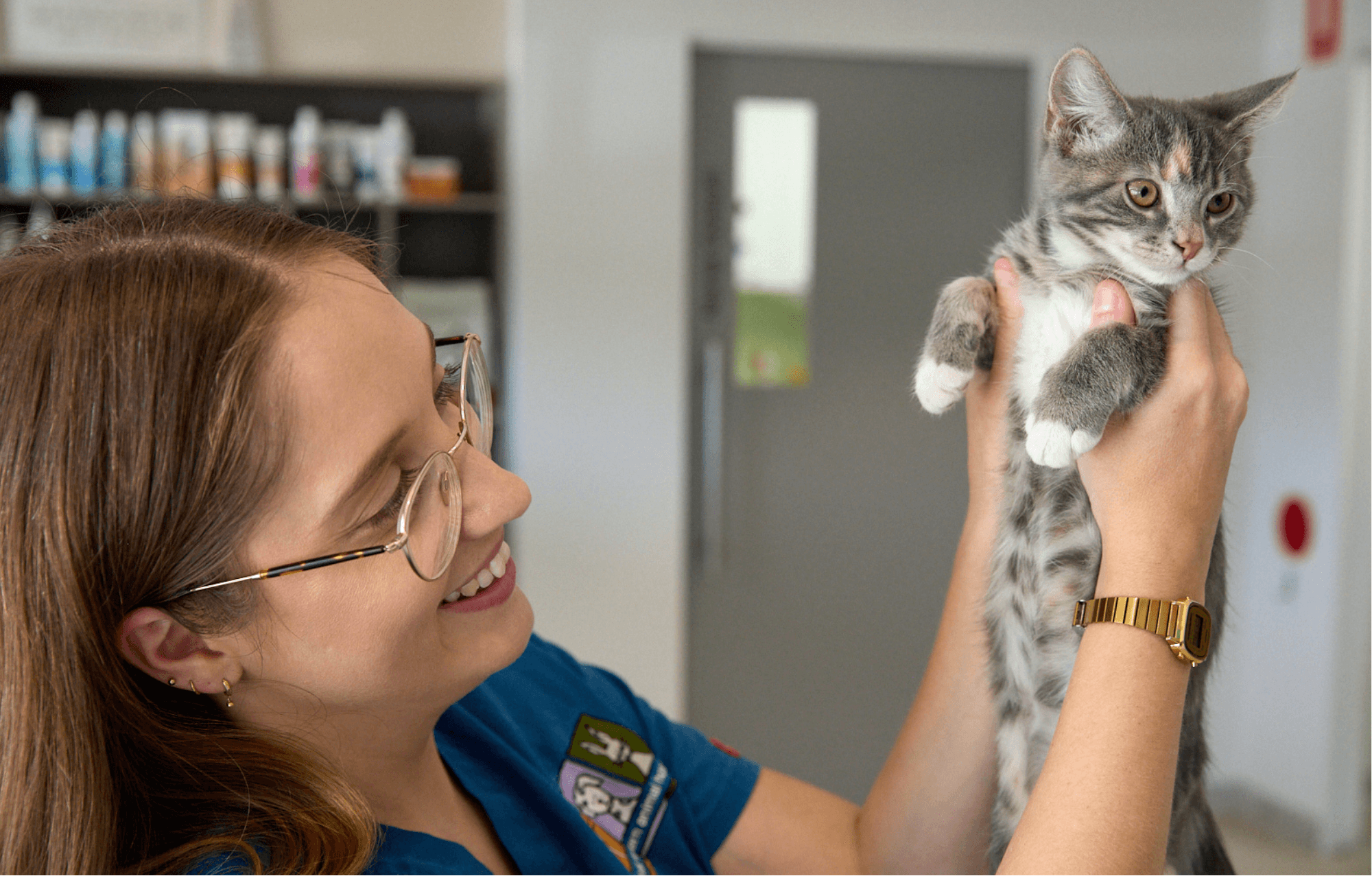 Feline Leukaemia Virus in Cats: Symptoms, Testing and Prevention (Sydney Vet Guide)