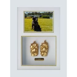 Framed Plaster Paw Prints (Gold)