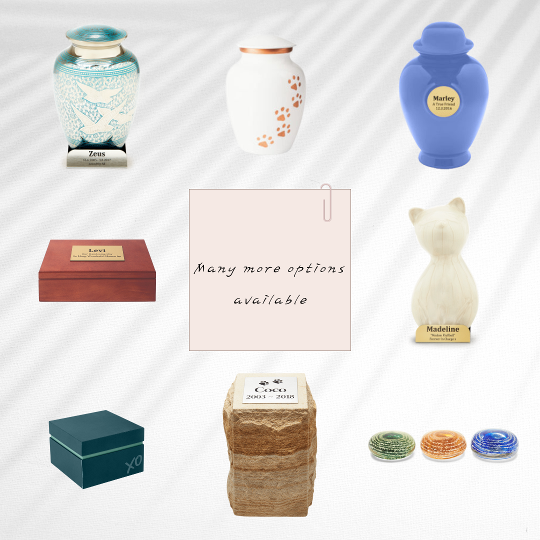 P&P Vessels