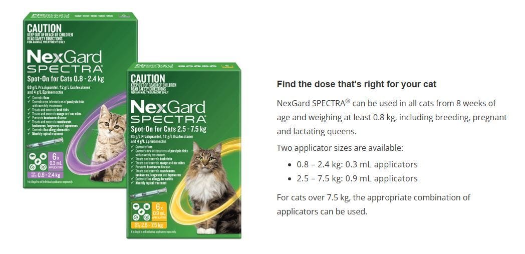Senior Pet SpecialsGreat Western Animal Hospital