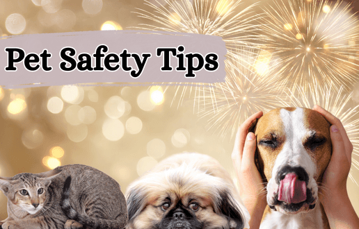 Festive Season Pet Safety Tips Festive Season Pet Safety Tips