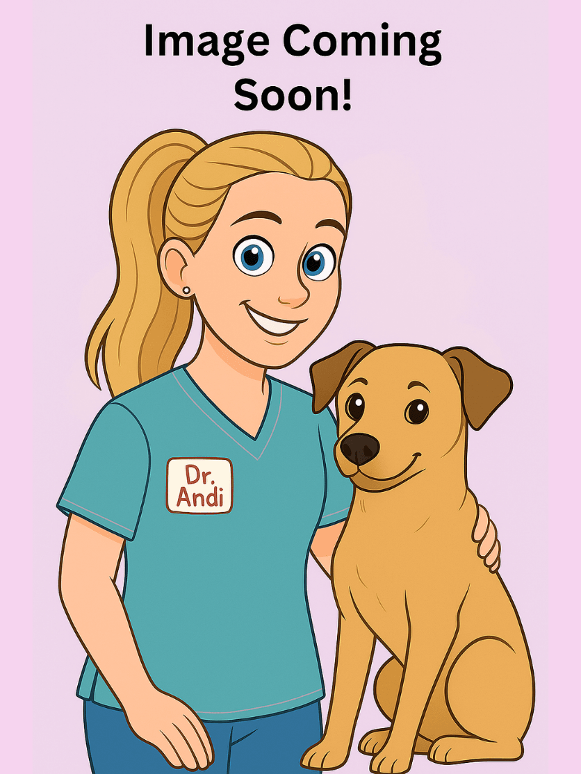 Dr. Andi