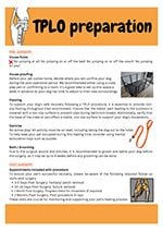 TPLO preparation