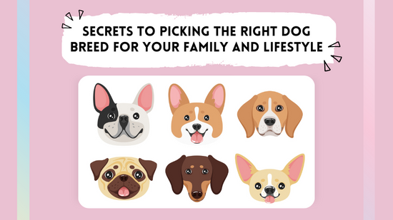 Choosing the Right Dog Breed for Your Family