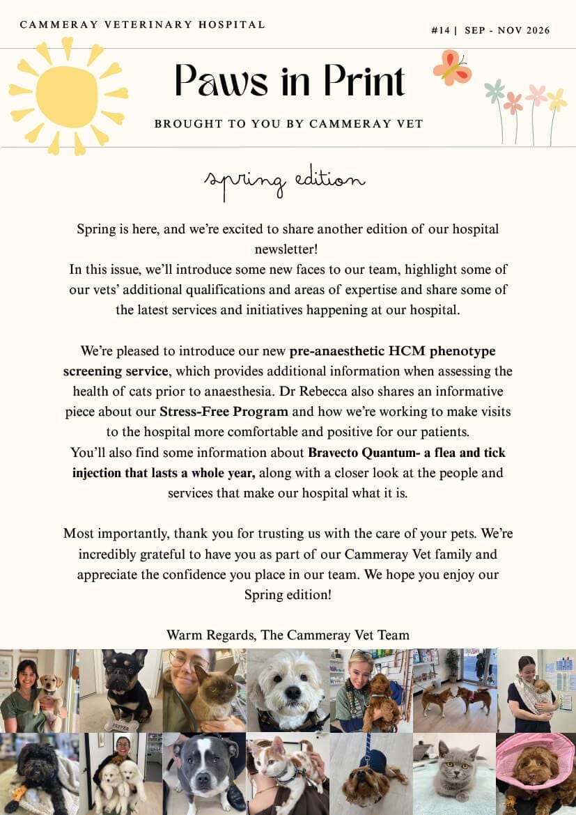 Spring Newsletter 2026