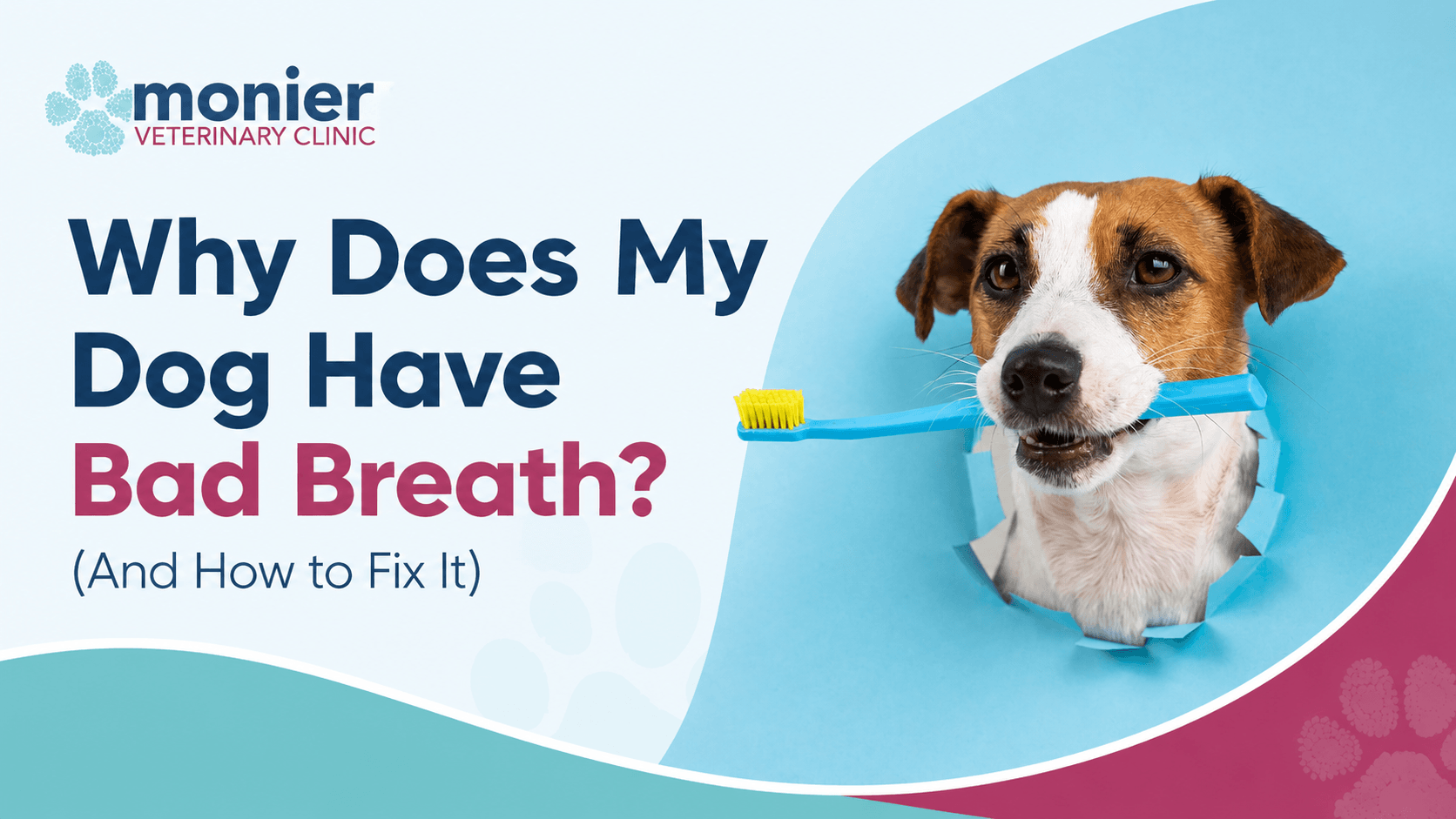 Why Does My Dog Have Bad Breath? (And How to Fix It) Why Does My Dog Have Bad Breath? (And How to Fix It)