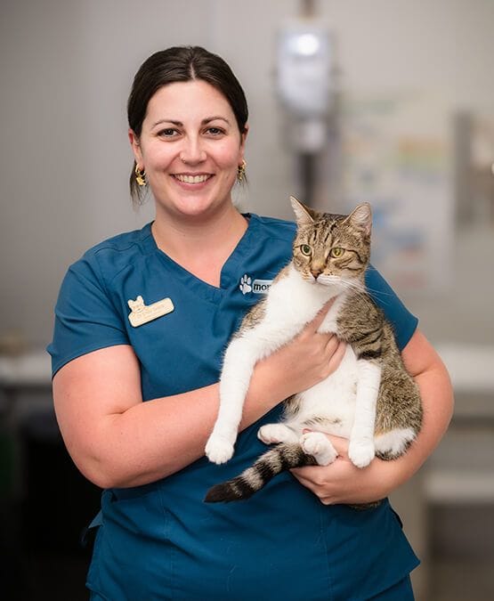 Dr Emily Grace Nicholson Gartley Dr Emily Grace Nicholson Gartley