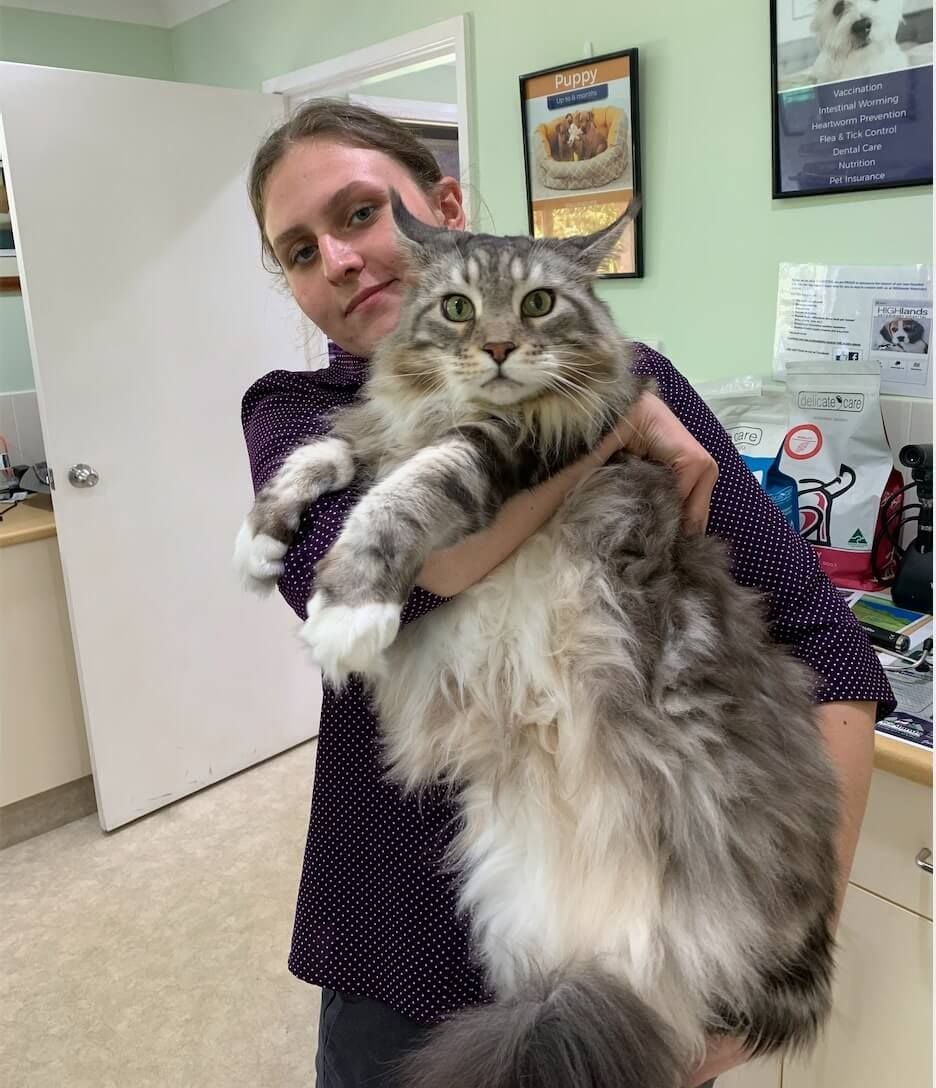 Pet Gallery Image -6745606b30541