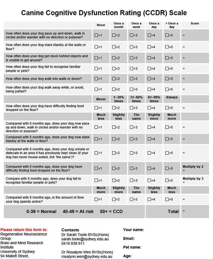 Canine Cognitive Disfunction Rating